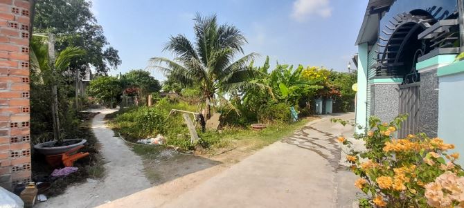 213m² đất thổ cư Quang Đông, Ninh Đông, Tx Ninh Hòa, Khánh Hòa - 1