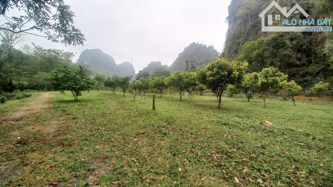 Chỉ 1,5 tỷ, gần 1900m có 1000m thổ cư Yên Thủy, phẳng như sân bay, suối quanh đất,ô tô và - 1