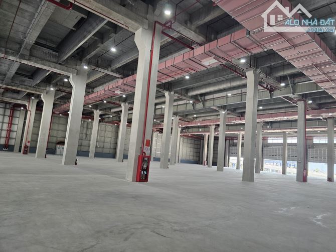 Cho thuê kho xưởng KCN Xuyên Á , Long An diện tích xưởng : 10.000m2 - 1