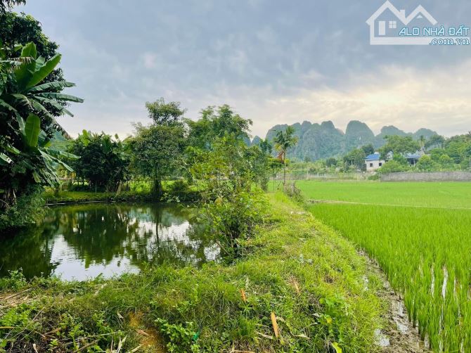 BÁN ĐẤT CÓ AO VIEW CÁNH ĐỒNG TẠI CAO DƯƠNG LƯƠNG SƠN HOÀ BÌNH 2265m2 - 2