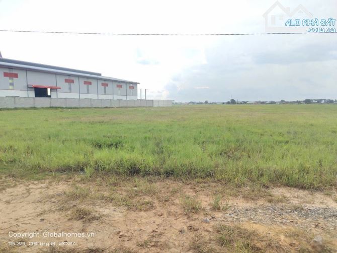 [LA62P1B-20] BÁN ĐẤT CÔNG NGHIỆP 3600M2, KCN HẢI SƠN, ĐỨC HOÀ, TỈNH LONG AN - 4