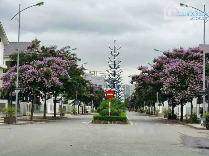 QUỸ CĂN BT-LK CẦN BÁN KHU A GELEXIMCO LÊ TRỌNG TẤN - 3
