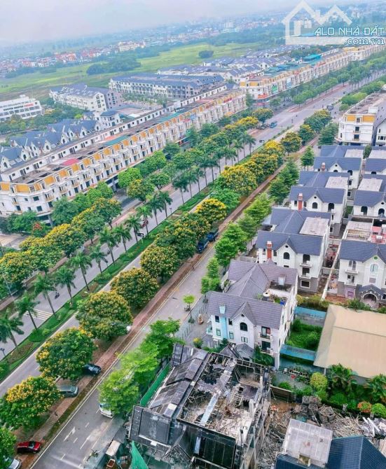 QUỸ CĂN BT-LK CẦN BÁN KHU A GELEXIMCO LÊ TRỌNG TẤN - 4