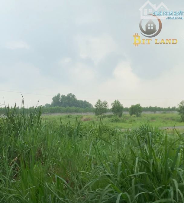 Bán 5000m2 đất ngay đường Võ Nguyên Giáp, Bình Minh, Đồng Nai