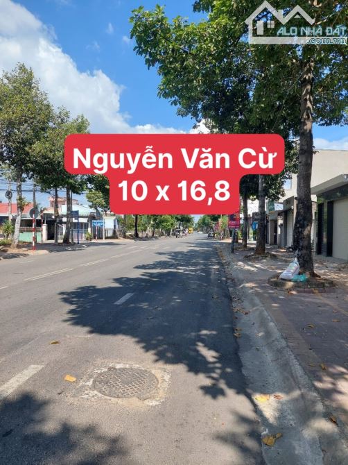 10x16,8m mặt tiền Nguyễn Văn Cừ, Tp Bà Rịa