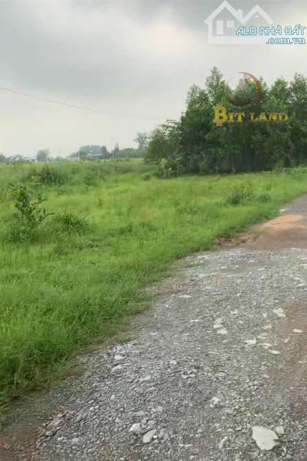 Bán 5000m2 đất ngay đường Võ Nguyên Giáp, Bình Minh, Đồng Nai - 1