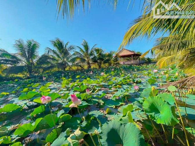 BÁN VIEW NGHỈ DƯỠNG VỚI AO SEN TUYỆT ĐẸP,VƯỜN TRÁI CÂY ĐỦ LOẠI, SÁT BÊN THỊ TRẤN NGÃI GIAO - 1