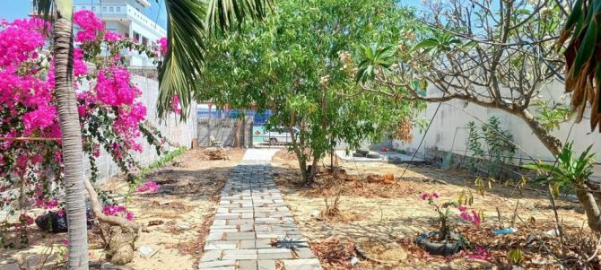 Bán đất PHÂN LÔ hiếm hoi ở biển Hàm Tiến, Mũi Né - 540m2 giá 13 triệu/m2 - 1