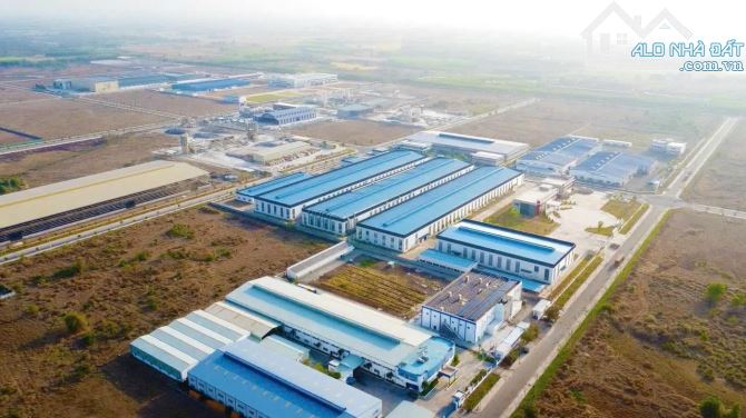 Bán đất bên hông KCN Đất Đỏ, 1000m2, ngang 10.8 m, sẵn 100m2 thổ cư , đường lớn, điện nước - 1