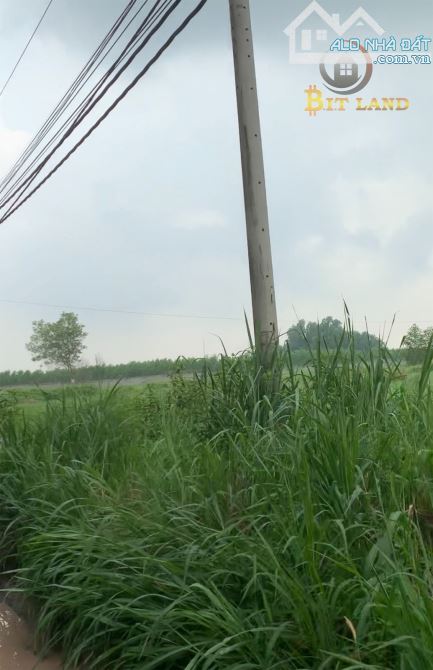 Bán 5000m2 đất ngay đường Võ Nguyên Giáp, Bình Minh, Đồng Nai - 2