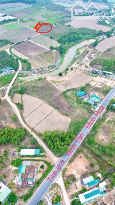 Siêu rẻ cần bán vườn xoài 500m - 2