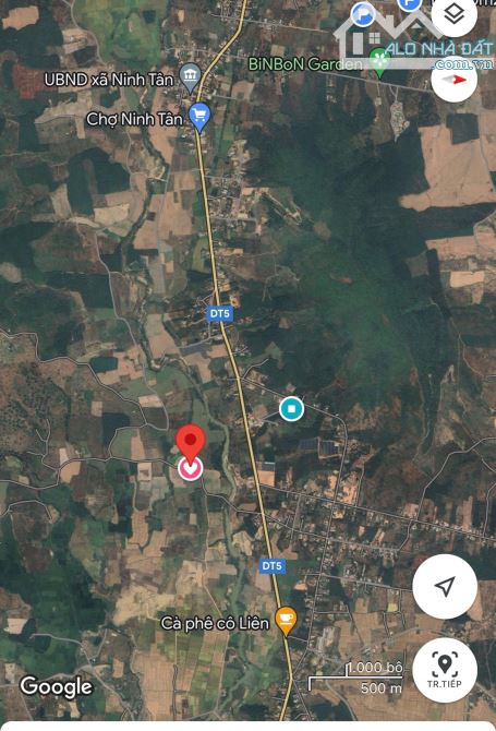 Siêu rẻ cần bán vườn xoài 500m - 3