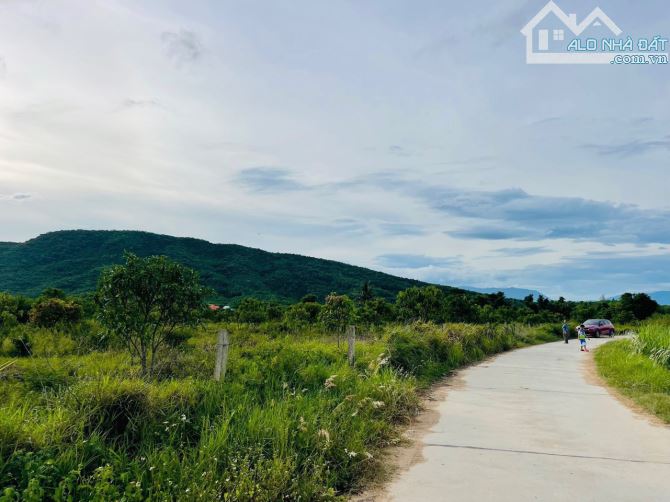 Siêu rẻ cần bán vườn xoài 500m - 4