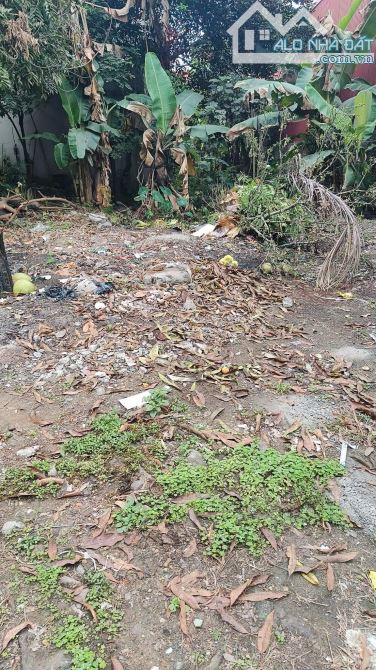 bán đất 74,4m2 gần trường cấp 2 Hùng Vương, Cam Lộ, Hùng Vương giá 1,05 tỷ