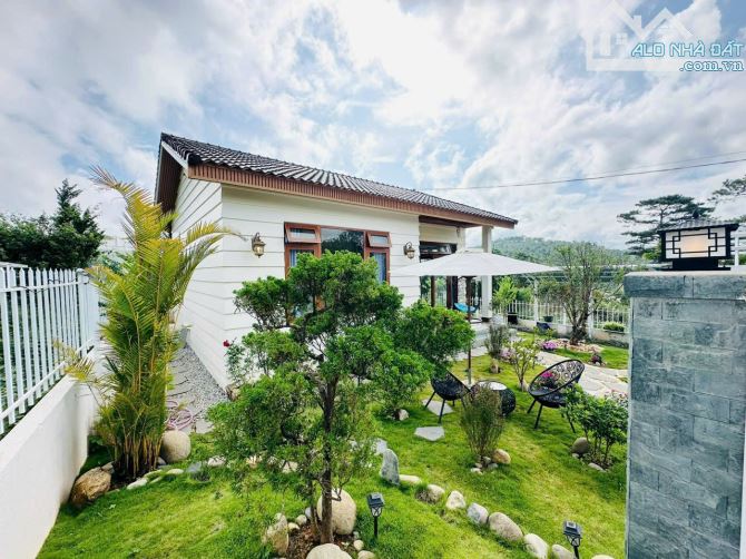 Bán Villa/Biệt Thự view rừng thông Đà Lạt bao quanh xanh ngát, thiết kế sang trọng - 1