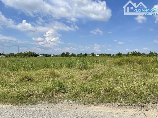 💎 CHỦ GỬI BÁN 2000M2 VƯỜN NGAY CẠNH CỔNG CCN 49HA, VỊ TRÍ KINH DOANH TỐT, GIÁ RẺ - 2