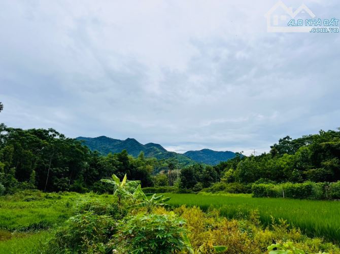 733M2 VIEW CÁNH ĐỒNG 3,2 TỶ ĐƯỜNG THÔNG ĐẸP - 3