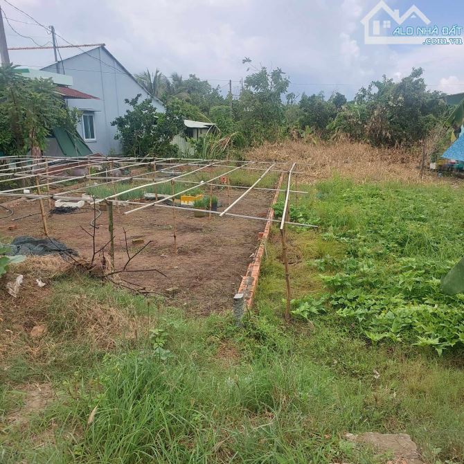 NỀN THỔ CƯ DT143M(7X21) ĐƯỜNG NGÃ AM CÁCH ĐƯỜNG TRẦN THỊ NHƯỢNG 150M P.AN HÒA, TP. SA ĐÉC - 3