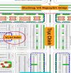 BÁN NỀN 100m2 - KDC TÂN PHÚ ( 1ty8 )