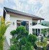 Bán Villa/Biệt Thự view rừng thông Đà Lạt bao quanh xanh ngát, thiết kế sang trọng