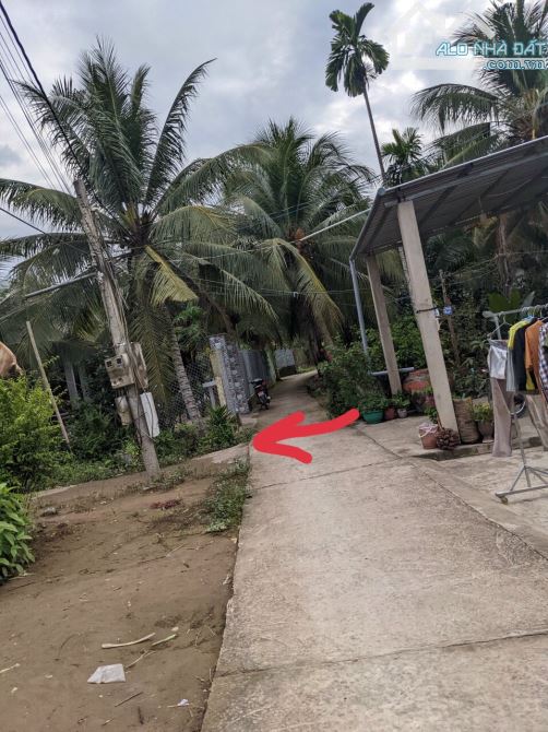 ✅KẸT TIỀN BÁN GẤP Châu Thành, TIỀN GIANG -  nhà và cây ăn trái 1500m2 - giá chỉ [3 tỷ]. - 6