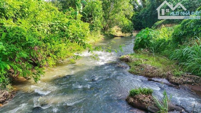 195 triệu 1000m2 view suối mặt nhựa, rất nhiều nhà biệt thự nhà vườn mặt nhựa mới đổ