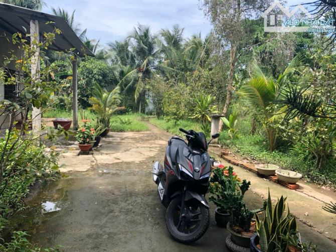 ✅KẸT TIỀN BÁN GẤP Châu Thành, TIỀN GIANG -  nhà và cây ăn trái 1500m2 - giá chỉ [3 tỷ]. - 8