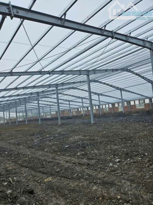 Cho thuê 40.000m2 kho, xưởng tại khu công nghiệp Thuận Thành , Bắc Ninh - 3