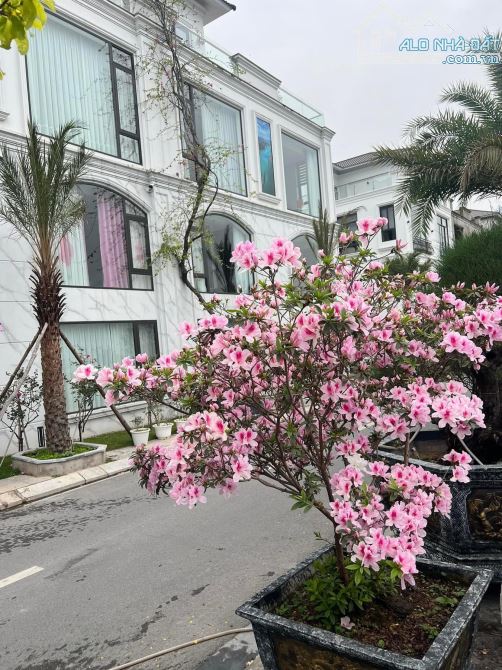 Bán biệt thự đẳng cấp, full nội thất view trực diện Vịnh, trung tâm thành phố - 3