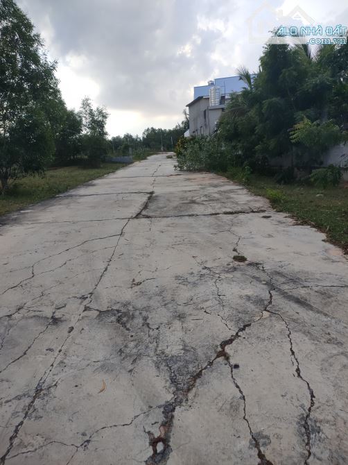 Bán gấp lô 1sào đường bê tông, thiện nghiệp, phan thiết giá tốt - 5