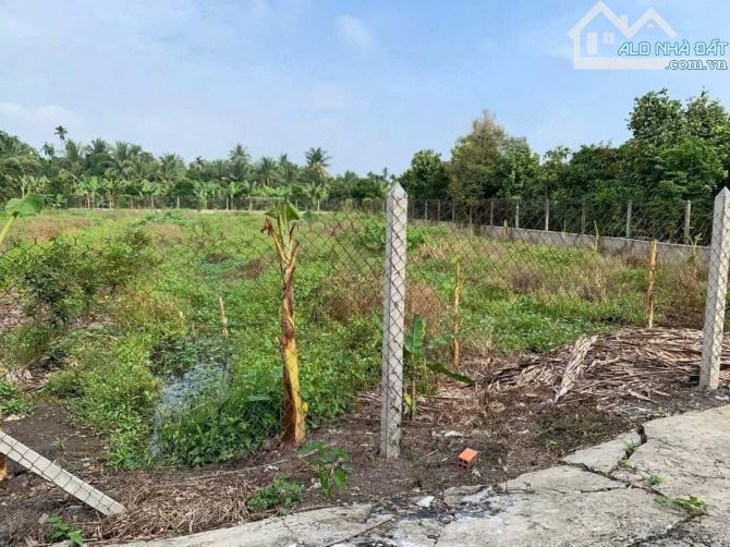 BÁN LÔ ĐẤT TP.THUẬN AN THỔ CƯ "KHỦNG", CÁCH VÀNH ĐAI 3 CHỈ 500M, GIÁ SIÊU TỐT - 5