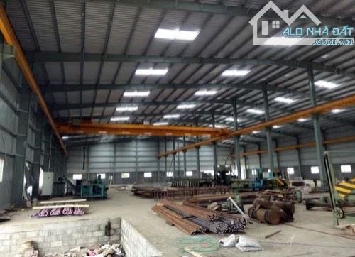 Cho thuê kho xưởng 12.000m2 trong KCN Đức Hòa, Long An. Giá tốt