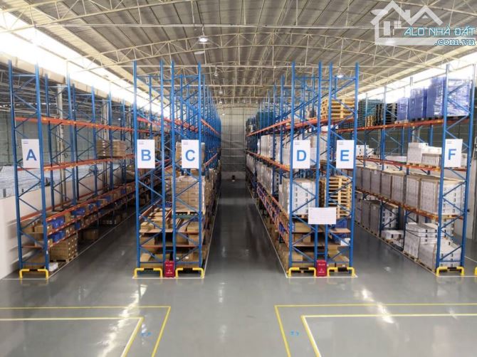 Cho thuê kho xưởng trong KCN Xuyên Á, Đức Hòa, Long An