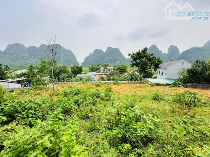 BÁN GẤP LÔ ĐẤT CÓ DT 541m2 (300m2 ONT) VIEW CÁNH ĐỒNG NÚI ĐÁ TRIỆU ĐÔ GIÁ CHỈ 1,x TỶ - 1