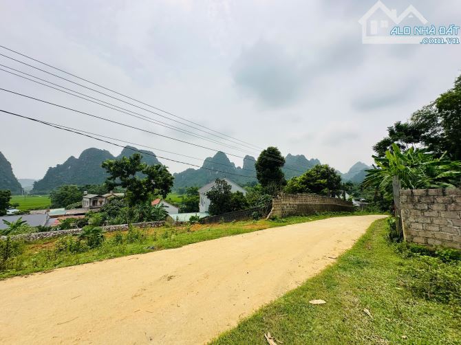 BÁN GẤP LÔ ĐẤT CÓ DT 541m2 (300m2 ONT) VIEW CÁNH ĐỒNG NÚI ĐÁ TRIỆU ĐÔ GIÁ CHỈ 1,x TỶ - 4