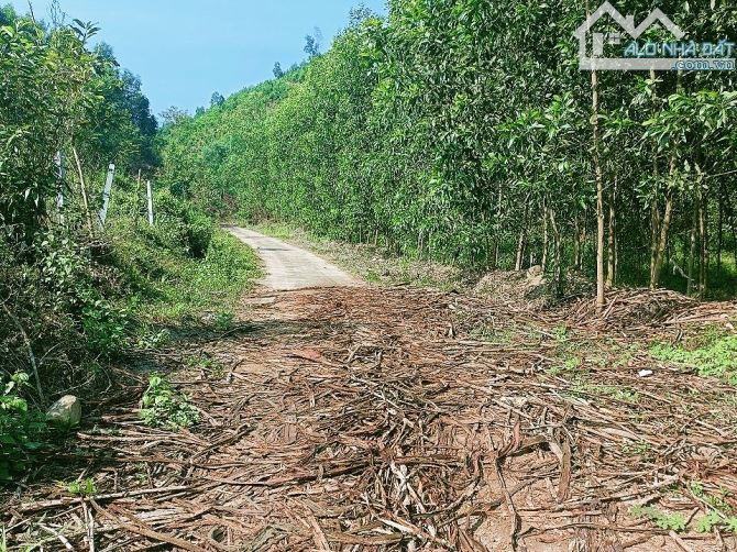 Bán đất vườn Khánh Đông giá rẻ gần Tỉnh Lộ 8 - đường bê tông 5m thông