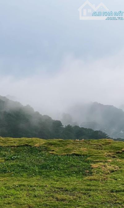 BÁN ĐẤT CỰC ĐẸP TẠI KHỞI NGHĨA BẮC SƠN TRUNG TÂM VIEW ĐẸP TẠI P10 ĐÀ LẠT