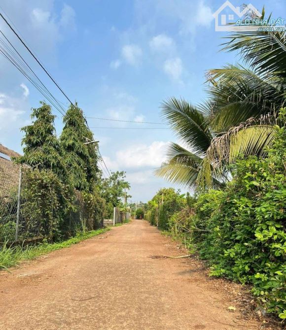 KẸT TIỀN BÁN GẤP LÔ ĐẤT VƯỜN NGAY KHU DÂN CƯ 1011M2(12MX80M) CÁCH QUỐC LỘ 20 2KM CHỈ 350TR - 1