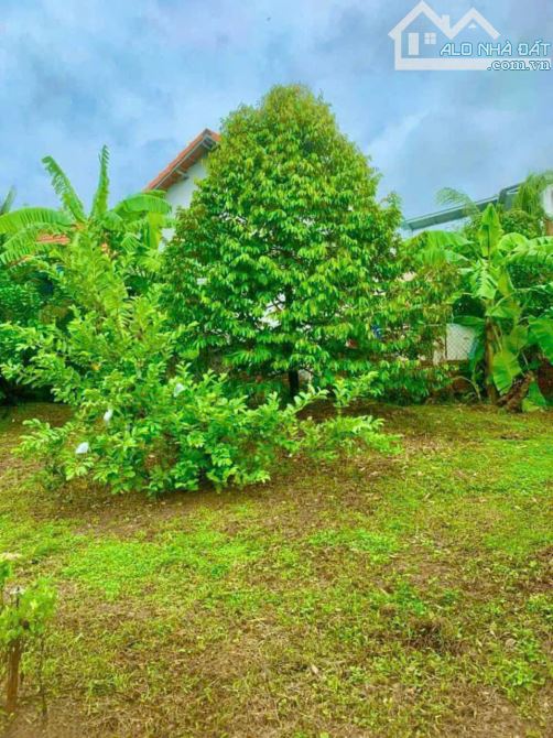 Giá 4,5 tỷ. Bán 978m đất vườn mặt tiền đường Bình Hoà Cây Dương, xã Bình Hoà, Vĩnh Cửu. - 1
