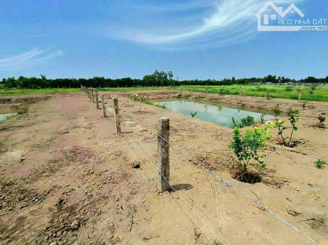 Hàng Thơm, 1080m2 đất vườn Bình Đức 18 x 60m cực đẹp, 700tr - 2