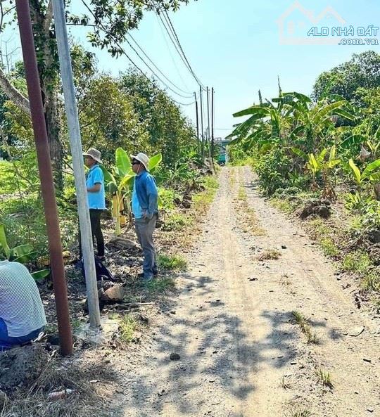 KẸT TIỀN BÁN GẤP LÔ ĐẤT VƯỜN NGAY KHU DÂN CƯ 1011M2(12MX80M) CÁCH QUỐC LỘ 20 2KM CHỈ 350TR - 2