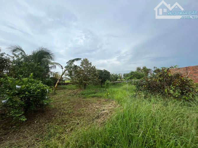 Giá 4,5 tỷ. Bán 978m đất vườn mặt tiền đường Bình Hoà Cây Dương, xã Bình Hoà, Vĩnh Cửu. - 3