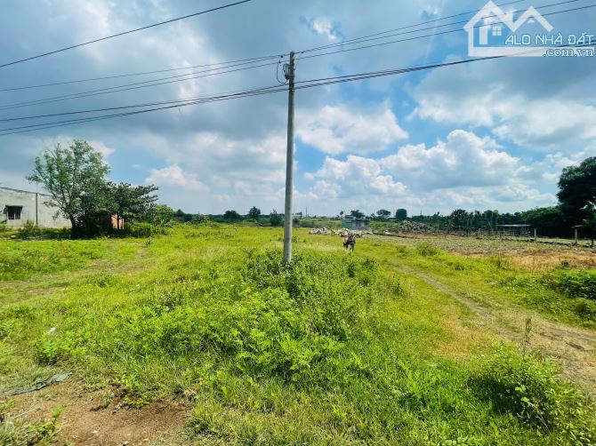 GIẢM MẠNH 50% BÁN LÔ ĐẤT VIEW SUỐI CỰC ĐỈNH, 2 MT ĐƯỜNG NHỰA, CÁCH BIỂN 10 PHÚT - 6