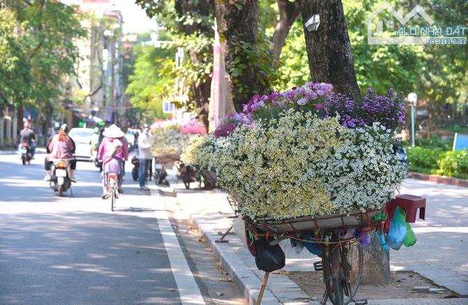 Ba Đình Hít Hót ! Chung cư Mi Ni - 9 tầng Thang Máy - Full Nội Thất.