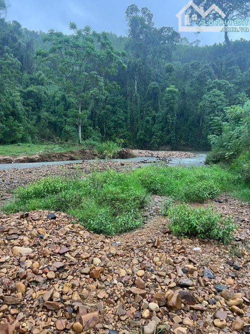 Chỉ 800 triệu, lô 2000m tại Lạc Sỹ, bám suối to, đất phẳng, tựa sơn hướng thủy, cắm trại đ