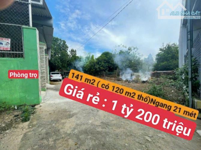 ĐẤT GIÁ RẺ tại Diên Toàn - Diên Khánh - Khánh Hòa 💰💰💰 Chỉ 1 tỷ 200 triệu