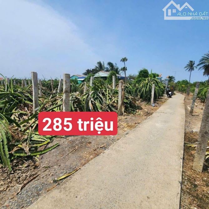 5×40 thổ (200m2) châu thành_long an.. 285 triệu đường bê tông giá rẻ