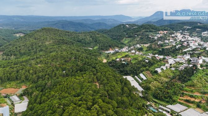 HẠ 5 TỶ BÁN GẤP LÔ ĐẤT TRƯỚC LÀ DINH 1 SAU LÀ VIEW THÔNG XANH VĨNH VIỄN CỰC ĐẸP TẠI P10 ĐÀ