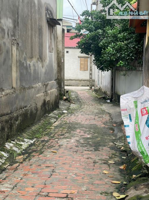 Hàng mới tinh, chưa xuất hiện trên thị trường