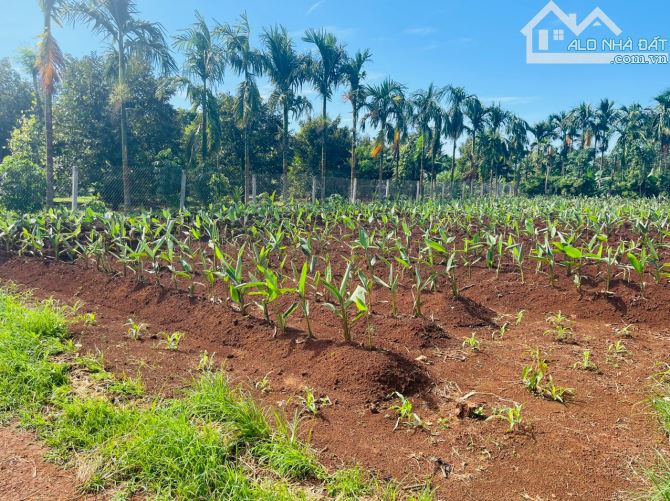 Hàng Mới tại Hoà Thuận Đạt Lý Đường ô tô thoải mái, quy hoạch 2 mặt tiền trước sau, cách q